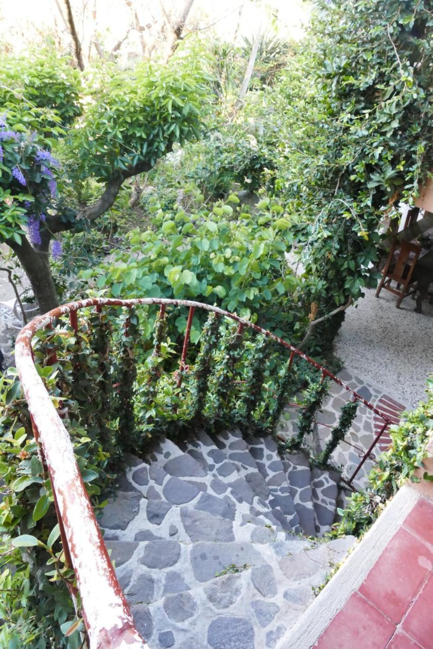 Hotel Y Restaurante La Casa Rosa Санта Круз Ла Лагуна Екстериор снимка